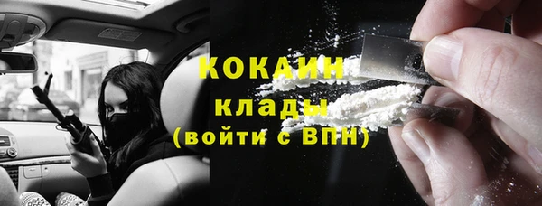 шишки Белокуриха