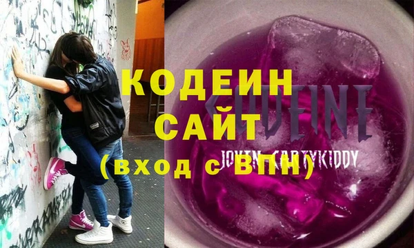 шишки Белокуриха