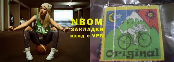 шишки Белокуриха
