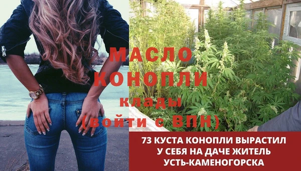 шишки Белокуриха