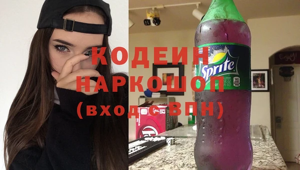 шишки Белокуриха