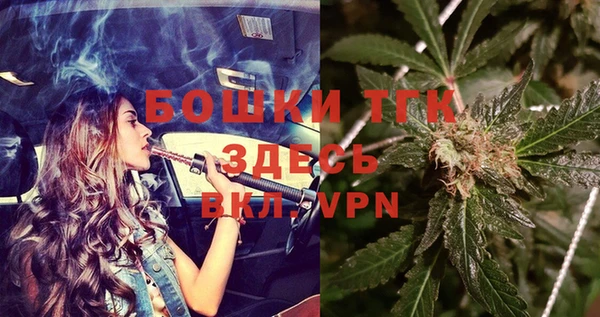 шишки Белокуриха