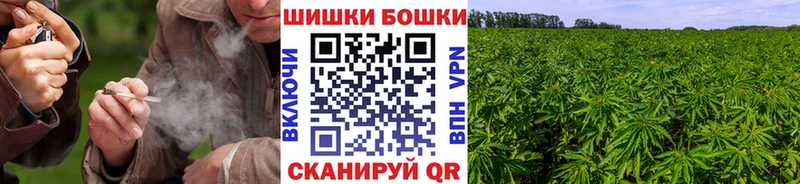 кракен зеркало  Нижний Новгород  Шишки марихуана MAZAR  где купить наркоту 